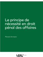 Le principe de nécessité en droit pénal des affaires