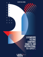 Luxembourg holding companies domestic and international tax aspects