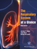 10 choses que vous aimeriez savoir sur le cerveau