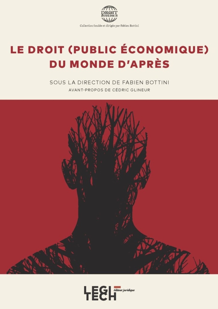 Le droit (public économique) du monde d'après