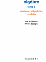 Algèbre, volume 3: Anneaux, polynômes, modules