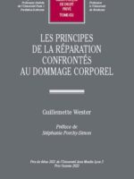 Les principes de la réparation confrontés au dommage corporel