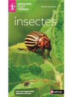 Insectes