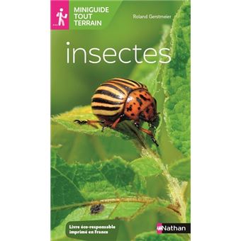 Insectes