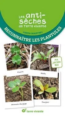 Les antisèches de Terre vivante : Reconnaître les plantules