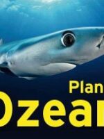 Planet Ozean