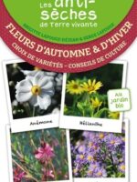 Fleurs d'automne et d'hiver