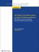 De minimis : les petites causes en droit de l'Union européenne