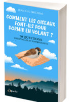 Comment les oiseaux font-ils pour dormir en volant?