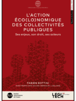 L'action éco(lo)nomique des collectivités publiques