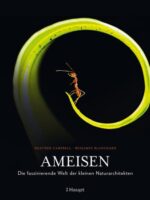 Ameisen