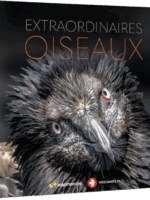 Extraordinaires oiseaux