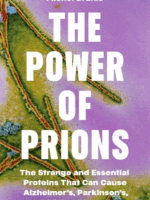 The Power of Prions