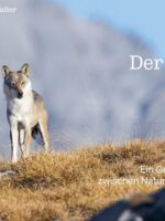 Der Wolf