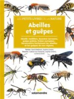 Abeilles et guêpes