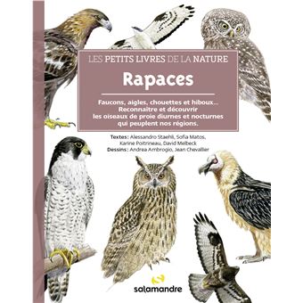 Rapaces