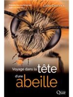 Voyage dans la tête d'une abeille