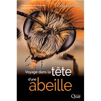 Voyage dans la tête d'une abeille