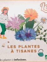 Les plantes à tisanes