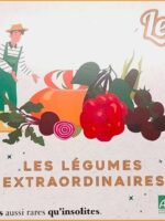 Les légumes extraordinaires - Kit de graines