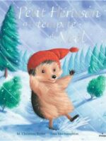 Petit Hérisson et la tempête de Noël