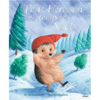Petit Hérisson et la tempête de Noël