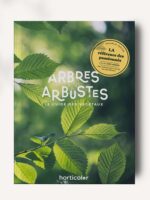 Arbres & arbustes