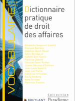Dictionnaire pratique de droit des affaires