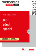 Droit pénal spécial
