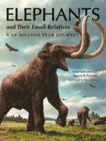 Elephants and Their Fossil Relatives