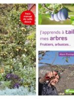 J’apprends à tailler mes arbres