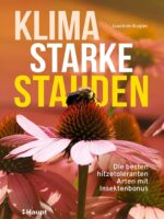 Klimastarke Stauden