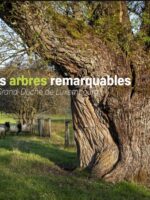 Les arbres remarquables du Grand-Duché de Luxembourg