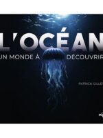 L'océan