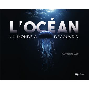 L'océan