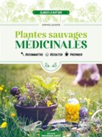 Plantes sauvages médicinales