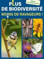 Plus de biodiversité moins de ravageurs !