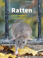Ratten