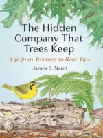 The Hidden Company That Trees Keep