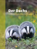 Der Dachs
