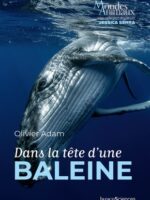 Dans la tête d'une baleine